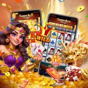 9dbet